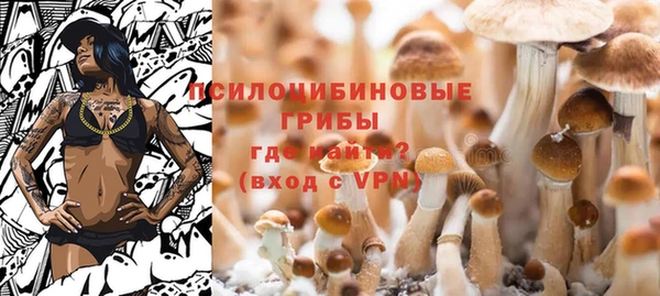 бутират Алзамай
